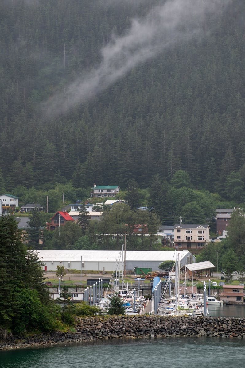 Scenic view of a coastal town with forest hills and a harbor filled with boats.