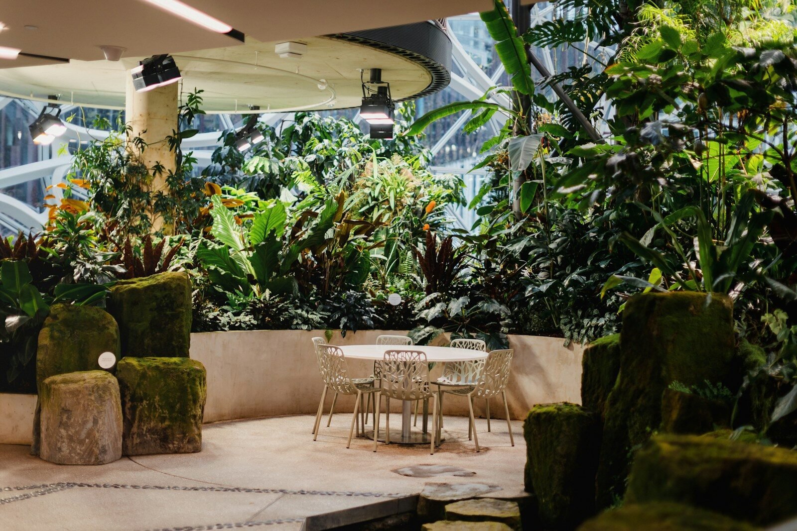 a table and chairs in a room filled with plants