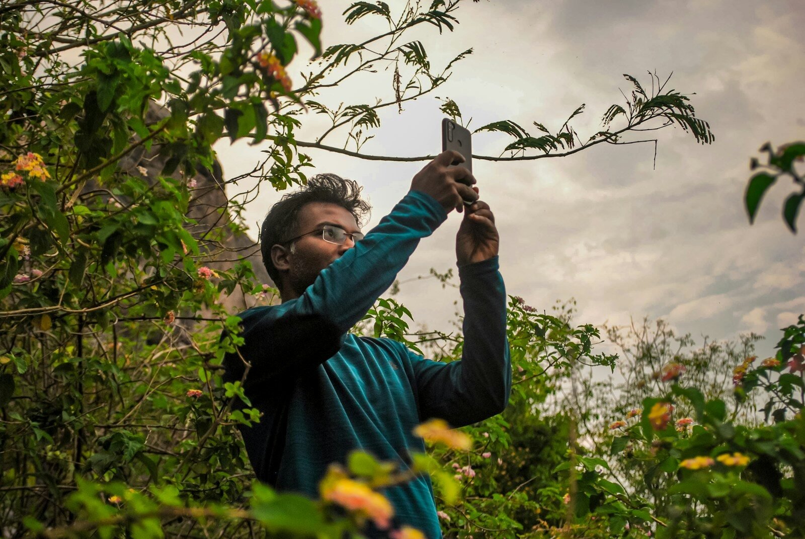 a man taking a picture of a tree with a cell phone